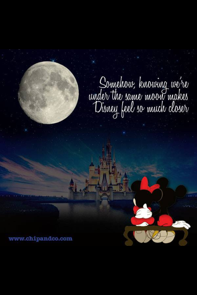 mouse under the moon