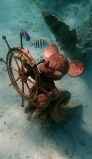 "OLYMPUS DIGITAL CAMERA"